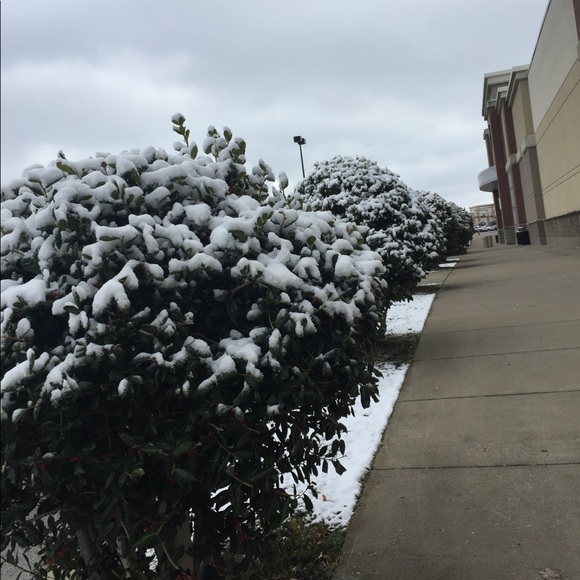 Meet your Posher, Abby - Picture 1 of 1